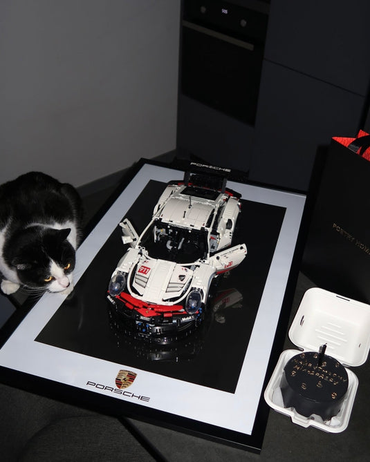 Картина з розібраним конструктором Porsche 911 RSR